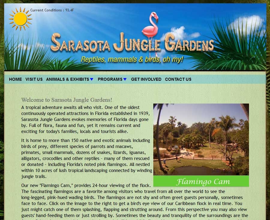 Sarasota Jungle Gardens