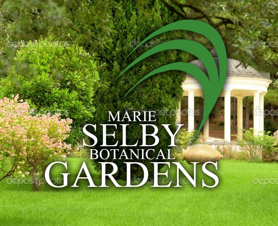 Marie Selby Botanical Gardens Downtown Sarasota