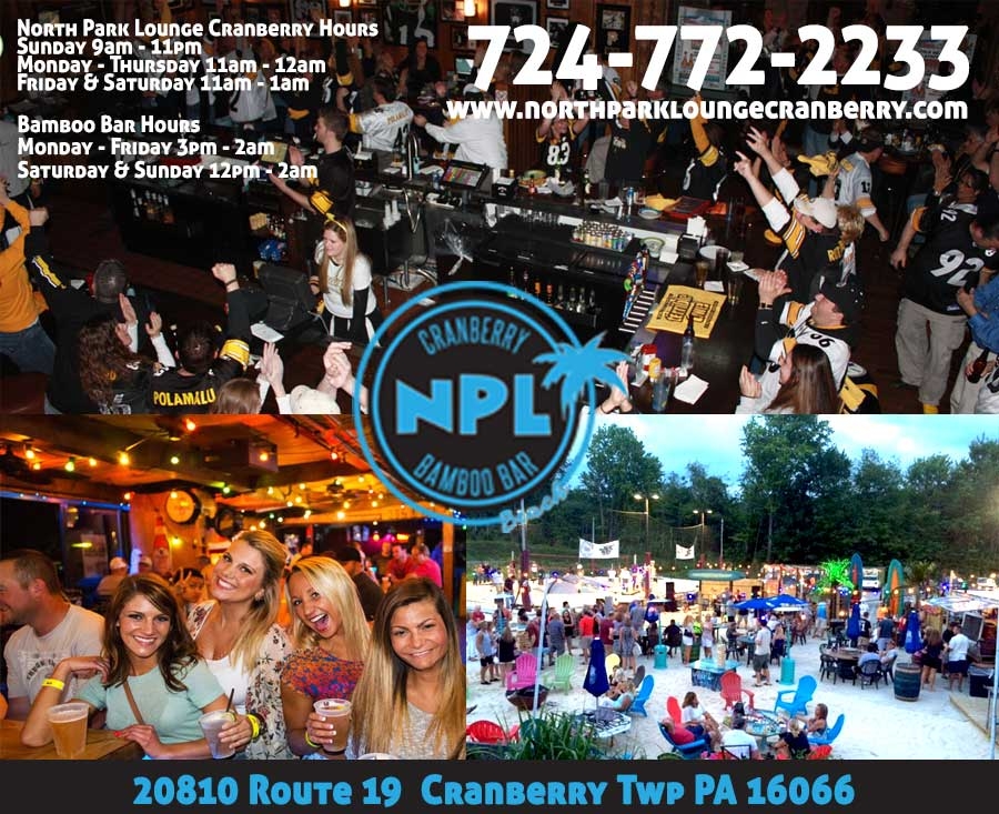 North Park Lounge Cranberry