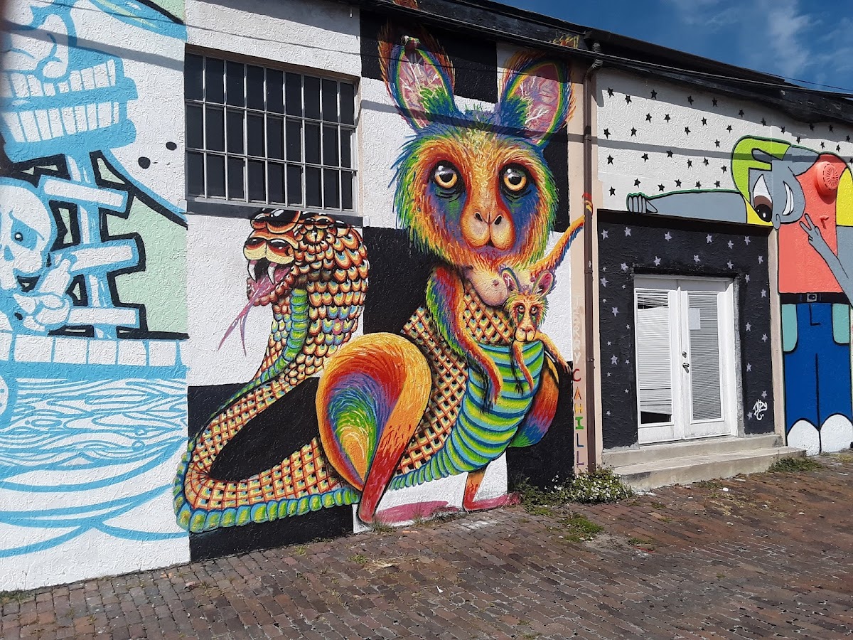 Stetson Professional Center